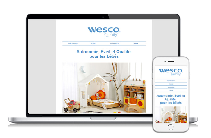 projet newsletter wesco